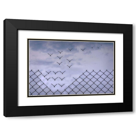 Donaat Fence Me In! Black Modern Wood Framed Art Print with Double Matting by Emanuelson, Bjorn
