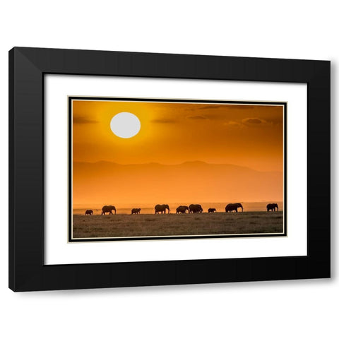 Sunrise Over Amboseli Black Modern Wood Framed Art Print with Double Matting by C. Sink, Jeffrey