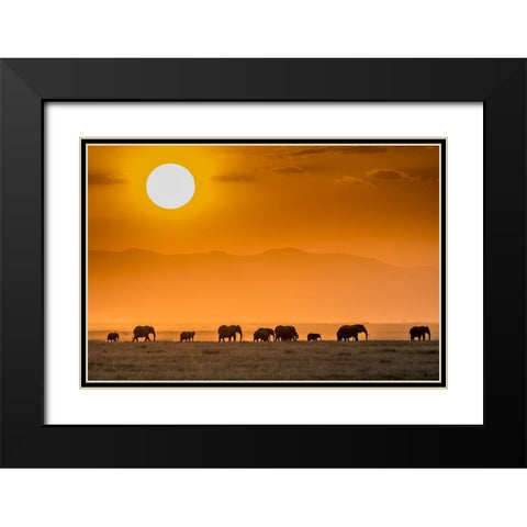 Sunrise Over Amboseli Black Modern Wood Framed Art Print with Double Matting by C. Sink, Jeffrey