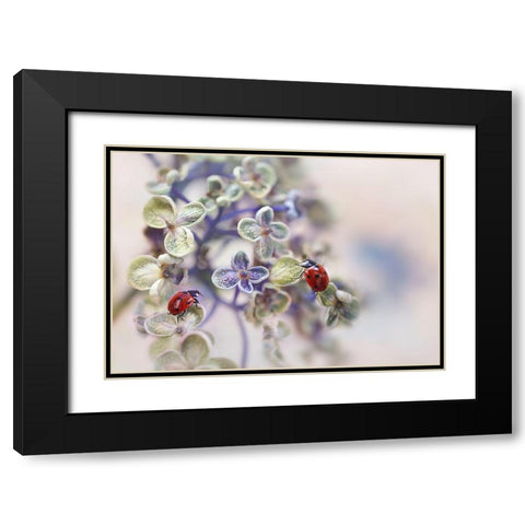 Fragile Black Modern Wood Framed Art Print with Double Matting by Van Deelen, Ellen