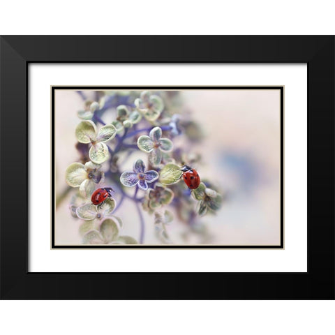 Fragile Black Modern Wood Framed Art Print with Double Matting by Van Deelen, Ellen