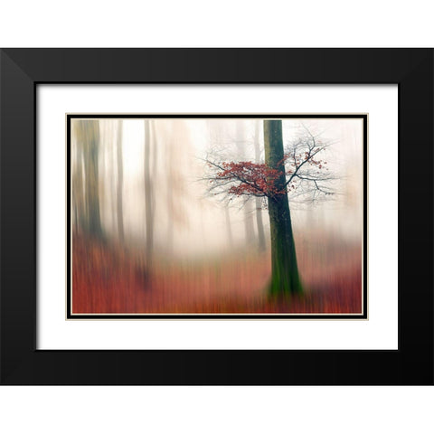 Red Leaves And The Hidden Path. Black Modern Wood Framed Art Print with Double Matting by Londal, Leif