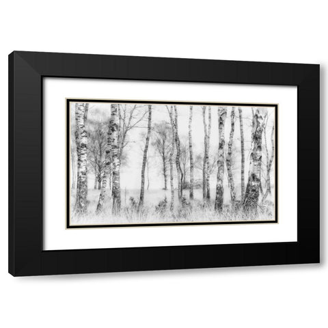 Black And White Black Modern Wood Framed Art Print with Double Matting by Talen, Nel