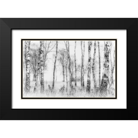 Black And White Black Modern Wood Framed Art Print with Double Matting by Talen, Nel