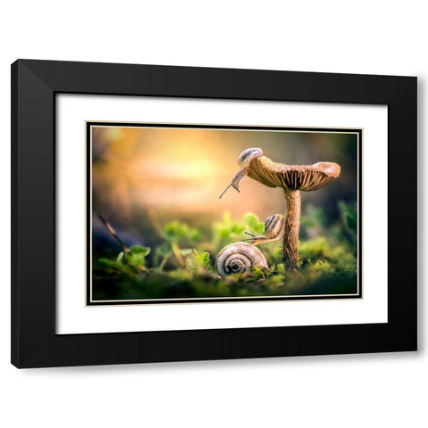 The Awakening Of Snails Black Modern Wood Framed Art Print with Double Matting by Ghizzi Panizza, Alberto