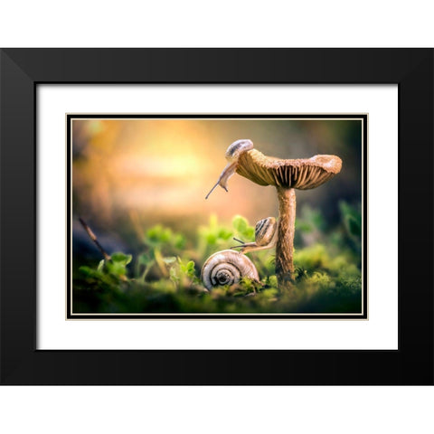 The Awakening Of Snails Black Modern Wood Framed Art Print with Double Matting by Ghizzi Panizza, Alberto