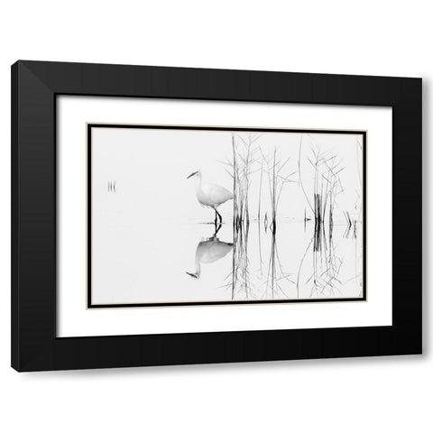 White Black Modern Wood Framed Art Print with Double Matting by Planinski, Zhecho