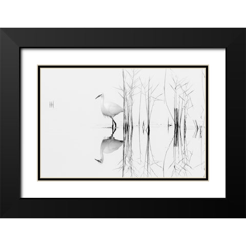 White Black Modern Wood Framed Art Print with Double Matting by Planinski, Zhecho