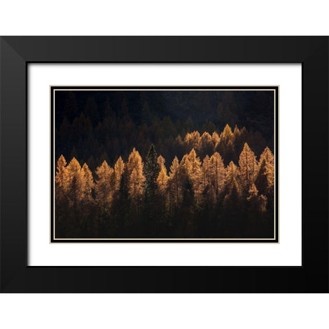 Light For A Few Black Modern Wood Framed Art Print with Double Matting by Manzoni, Michel