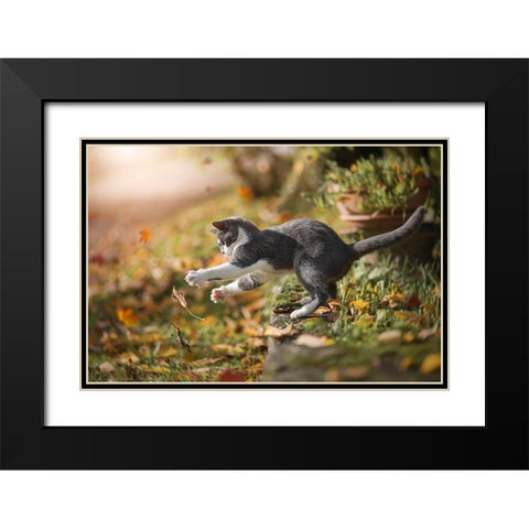 Autumn Play Black Modern Wood Framed Art Print with Double Matting by Dejana