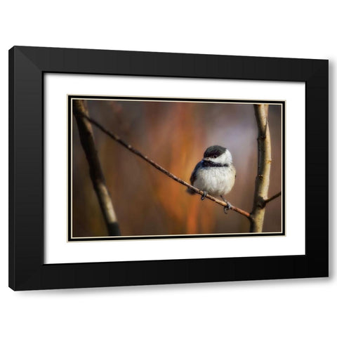 Litlle Qthingq Black Modern Wood Framed Art Print with Double Matting by Duguay, Christian