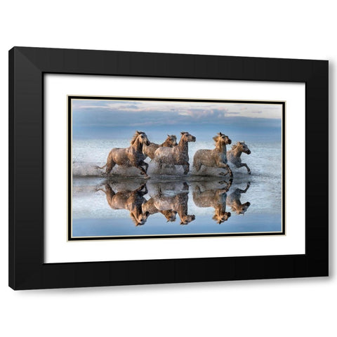 Horses And Reflection Black Modern Wood Framed Art Print with Double Matting by Ortega, Xavier
