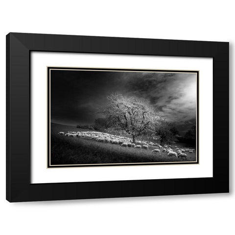 Rural Scene Black Modern Wood Framed Art Print with Double Matting by Gallo, Rasto
