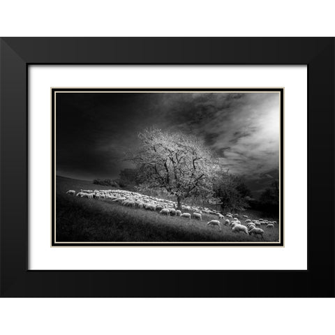 Rural Scene Black Modern Wood Framed Art Print with Double Matting by Gallo, Rasto