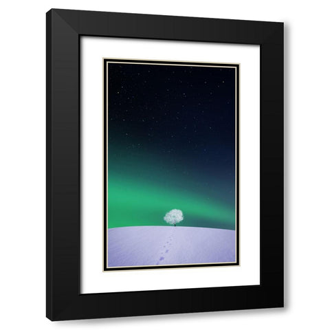 Apple Black Modern Wood Framed Art Print with Double Matting by Hamiti, Bess