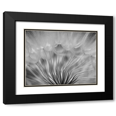 Dream Black Modern Wood Framed Art Print with Double Matting by Or, Keren