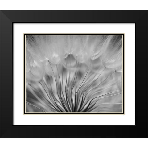 Dream Black Modern Wood Framed Art Print with Double Matting by Or, Keren