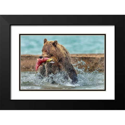Fishing - Kamchatka-Russia Black Modern Wood Framed Art Print with Double Matting by Damico, Giuseppe
