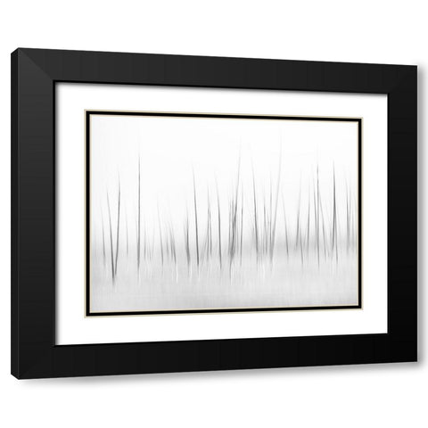 Wintry Scenery In Yellowstone Black Modern Wood Framed Art Print with Double Matting by Lai, Charles