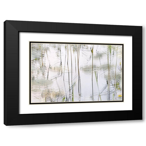 Lily Leaves Black Modern Wood Framed Art Print with Double Matting by Talen, Nel