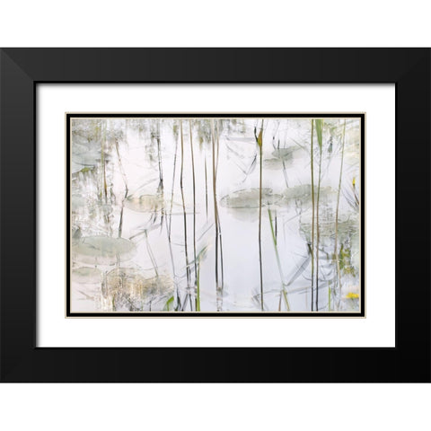 Lily Leaves Black Modern Wood Framed Art Print with Double Matting by Talen, Nel