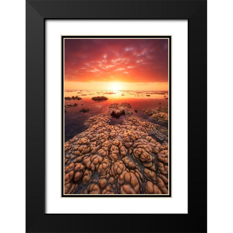 Low Tide On The Lagoon Of Saint Leu. Black Modern Wood Framed Art Print with Double Matting by Gabriel, Barathieu