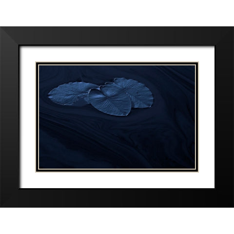 Leaf Black Modern Wood Framed Art Print with Double Matting by Wallberg, Allan