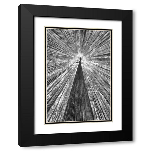 The Giant Black Modern Wood Framed Art Print with Double Matting by Casanova, Francois