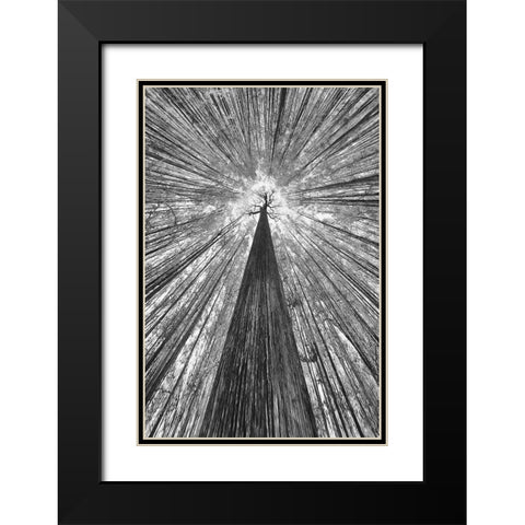 The Giant Black Modern Wood Framed Art Print with Double Matting by Casanova, Francois