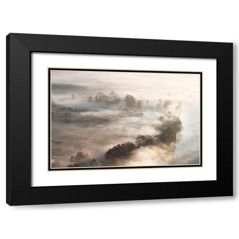 Trees In The Fog Black Modern Wood Framed Art Print with Double Matting by Galimberti, Marco