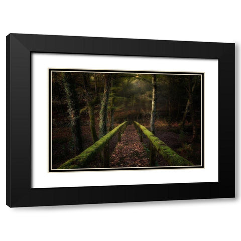 The Way To The Forest Black Modern Wood Framed Art Print with Double Matting by Mendoza, Chencho