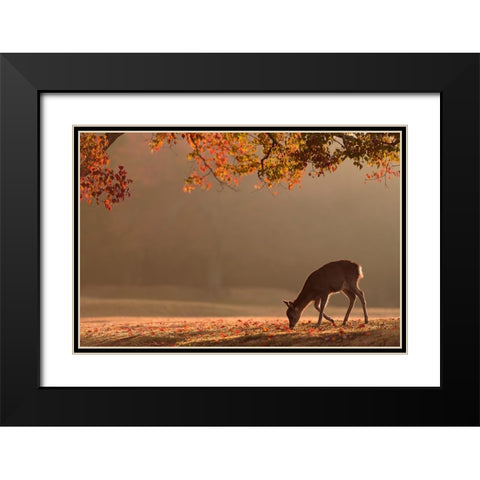First Autumn Black Modern Wood Framed Art Print with Double Matting by Matsui, Yoshinori