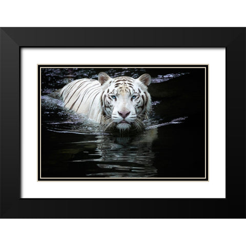 Looking At Me Looking At You Black Modern Wood Framed Art Print with Double Matting by Doyle, Renee