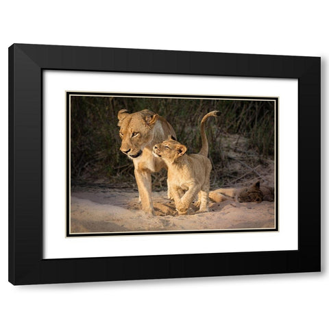 Happy Black Modern Wood Framed Art Print with Double Matting by Bonadio, Heather