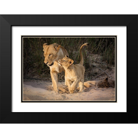 Happy Black Modern Wood Framed Art Print with Double Matting by Bonadio, Heather