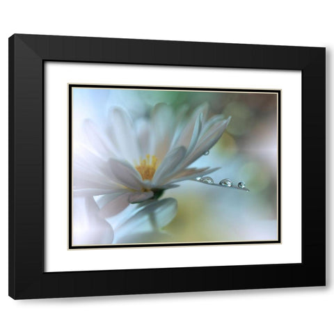 Light Touch... Black Modern Wood Framed Art Print with Double Matting by Nan, Juliana