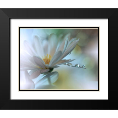 Light Touch... Black Modern Wood Framed Art Print with Double Matting by Nan, Juliana