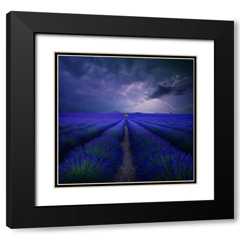 Wetter Im Lavendelfeld Black Modern Wood Framed Art Print with Double Matting by Schumacher, Nicolas