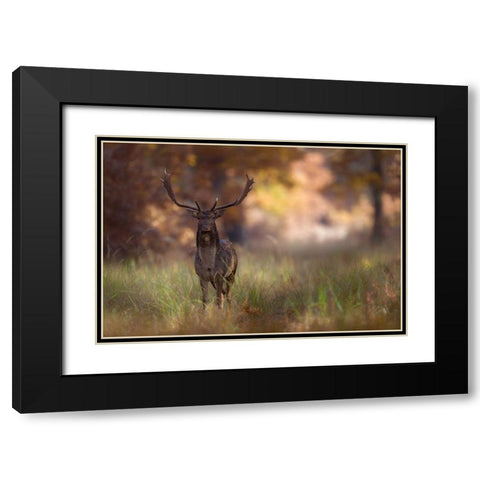 Posing Black Modern Wood Framed Art Print with Double Matting by Mastahac, Sebastian