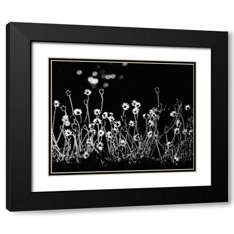 The Little Flowers Black Modern Wood Framed Art Print with Double Matting by Lagaa, Kahar