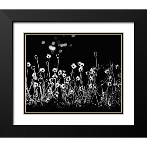 The Little Flowers Black Modern Wood Framed Art Print with Double Matting by Lagaa, Kahar