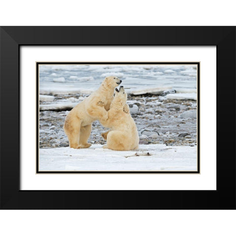 Big Boys Black Modern Wood Framed Art Print with Double Matting by Pozzi, Marco