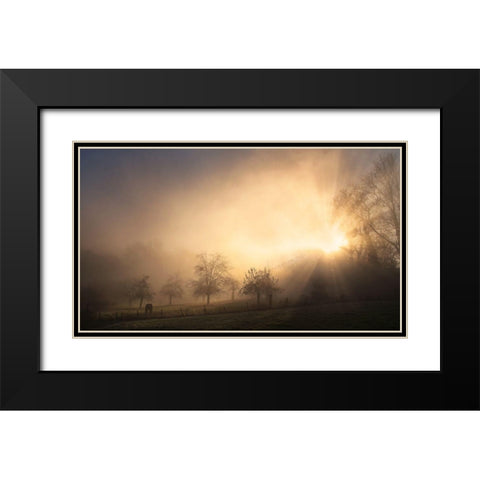 Glorious Morning Black Modern Wood Framed Art Print with Double Matting by Urlings, Lou
