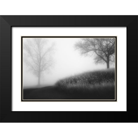 Foggy Morning Black Modern Wood Framed Art Print with Double Matting by Huybrighs, Marc