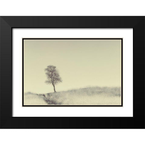 Tree On Top Black Modern Wood Framed Art Print with Double Matting by Van Den, Jaap