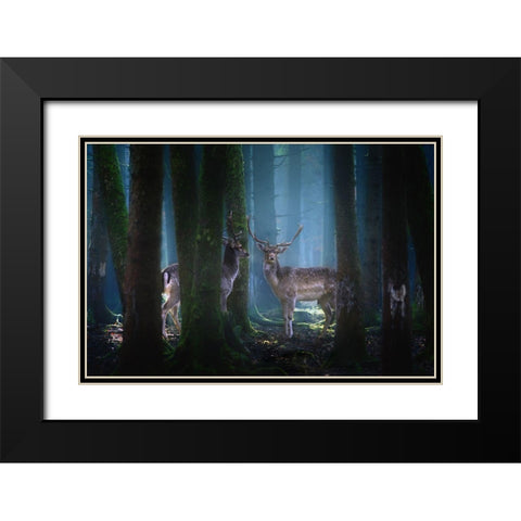 Deers Black Modern Wood Framed Art Print with Double Matting by Aurednik, Patrick