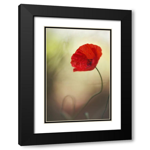 Untitled Black Modern Wood Framed Art Print with Double Matting by Or, Keren