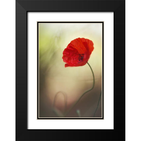 Untitled Black Modern Wood Framed Art Print with Double Matting by Or, Keren