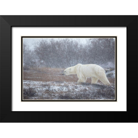 Let It Snow! Black Modern Wood Framed Art Print with Double Matting by Catta, Alessandro