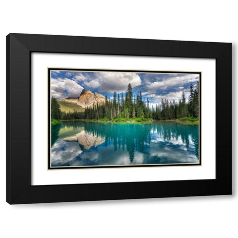 Emerald ... Black Modern Wood Framed Art Print with Double Matting by Dujic Lighthunter, Zoran